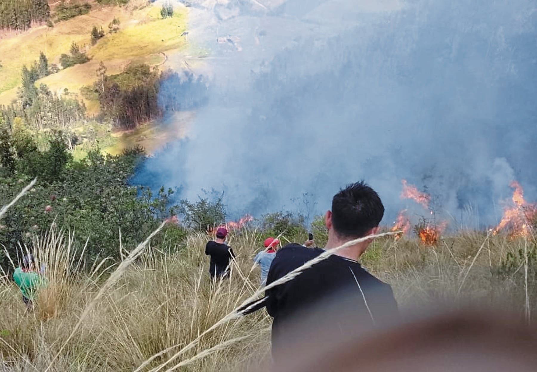 Fuego, que inició la noche del domingo, arrasó con 15 hectáreas de bosque en el caserío Paccha, en el distrito de Cachicadán.