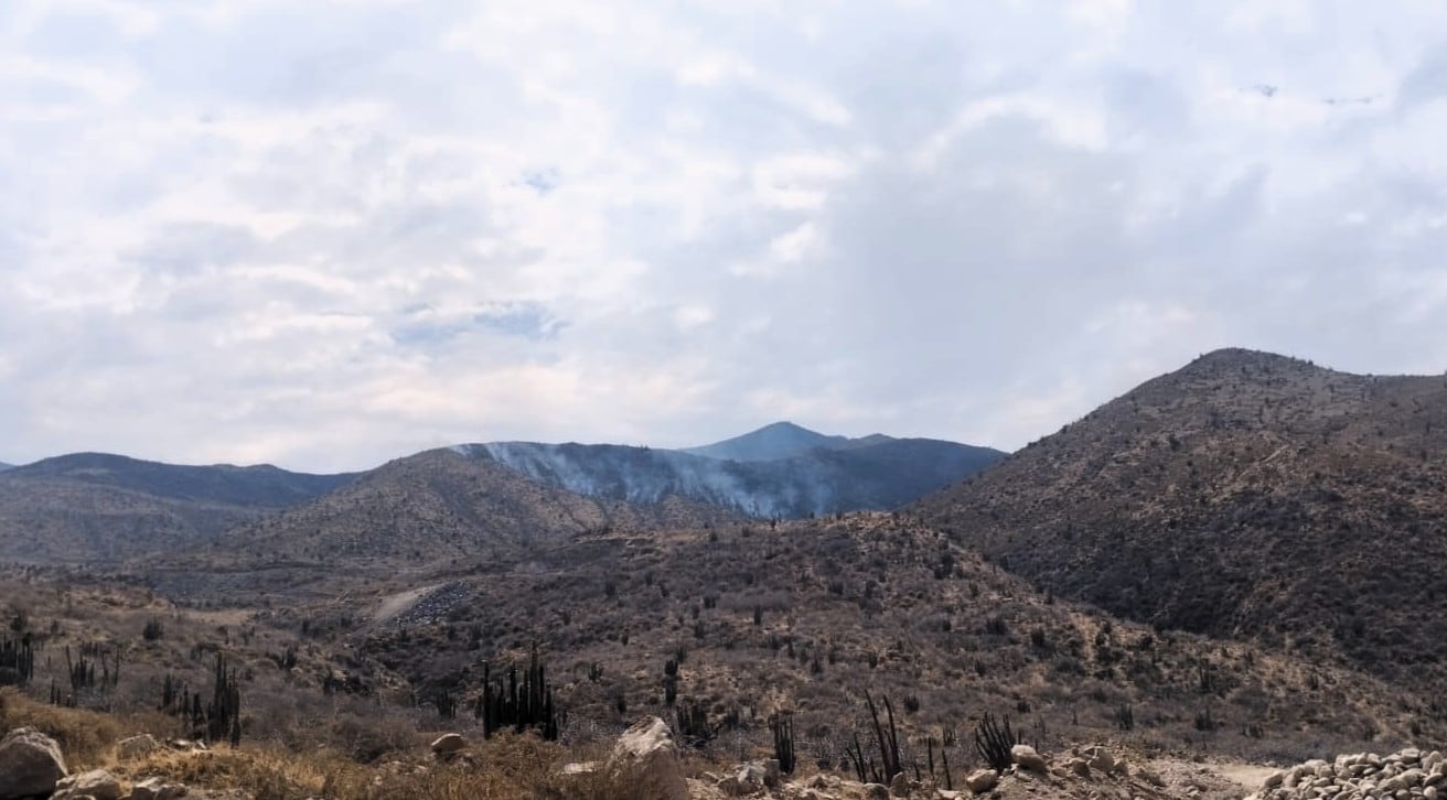 Incendio forestal en Lluta, Caylloma. Foto: COER Arequipa.