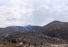 Incendios forestales en Arequipa: Uno es controlado en Majes y otro sigue activo en Lluta