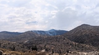 Incendios forestales en Arequipa: Uno es controlado en Majes y otro sigue activo en Lluta