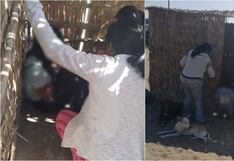 Ica: menor de 14 años desaparece y es hallada en una choza abandonada en La Tierra Prometida