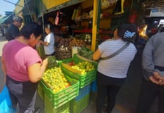 Ica: alertan que el limón podría llegar a 20 soles por kilo ante el Fenómeno El Niño
