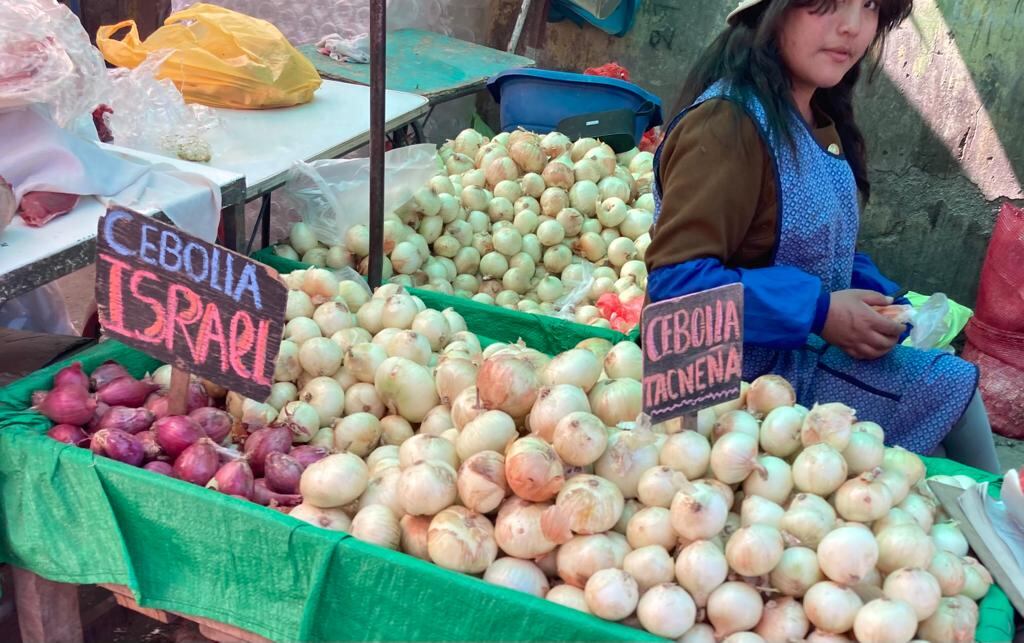 Precio de la cebolla arequipeña alcanzó los 7.50 soles por kilo. (Foto: GEC)