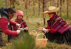 Perumin Inspira amplía plazo de convocatoria para premio a emprendimientos sociales