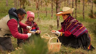 Perumin Inspira amplía plazo de convocatoria para premio a emprendimientos sociales