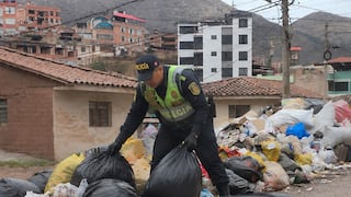 Cusco: No descartan comercio de carne de perro tras hallazgo de bolsas con cabezas