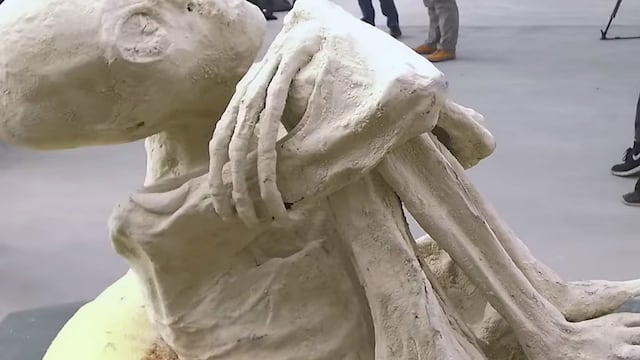 Investigador de las momias de Nazca dio detalles sobre los cuerpos hallados (VIDEO)