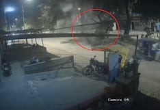 Piura: Árbol cae y casi aplasta a choferes y pasajeros en Sullana