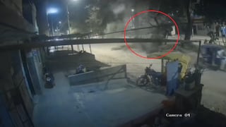 Piura: Árbol cae y casi aplasta a choferes y pasajeros en Sullana