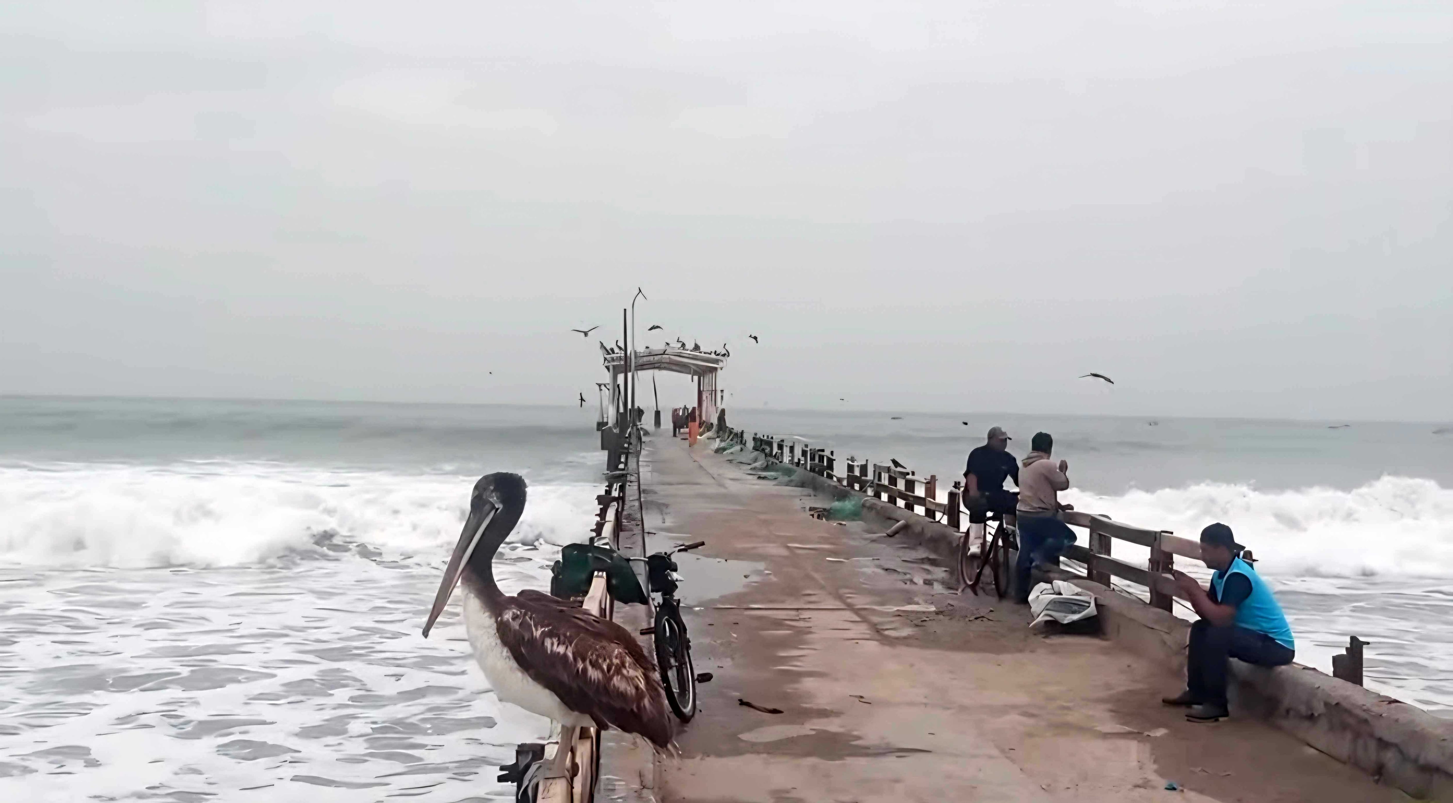 Capitanía de Puerto de Pisco resuelve cierre total del puerto de Tambo de Mora