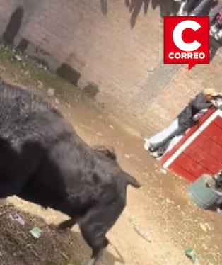 Joven queda grave tras ser embestido por toro durante festividad en Huancavelica