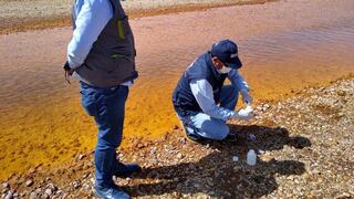 Prórroga por 60 días de estado de emergencia hídrica en provincias de Islay y Sánchez Cerro
