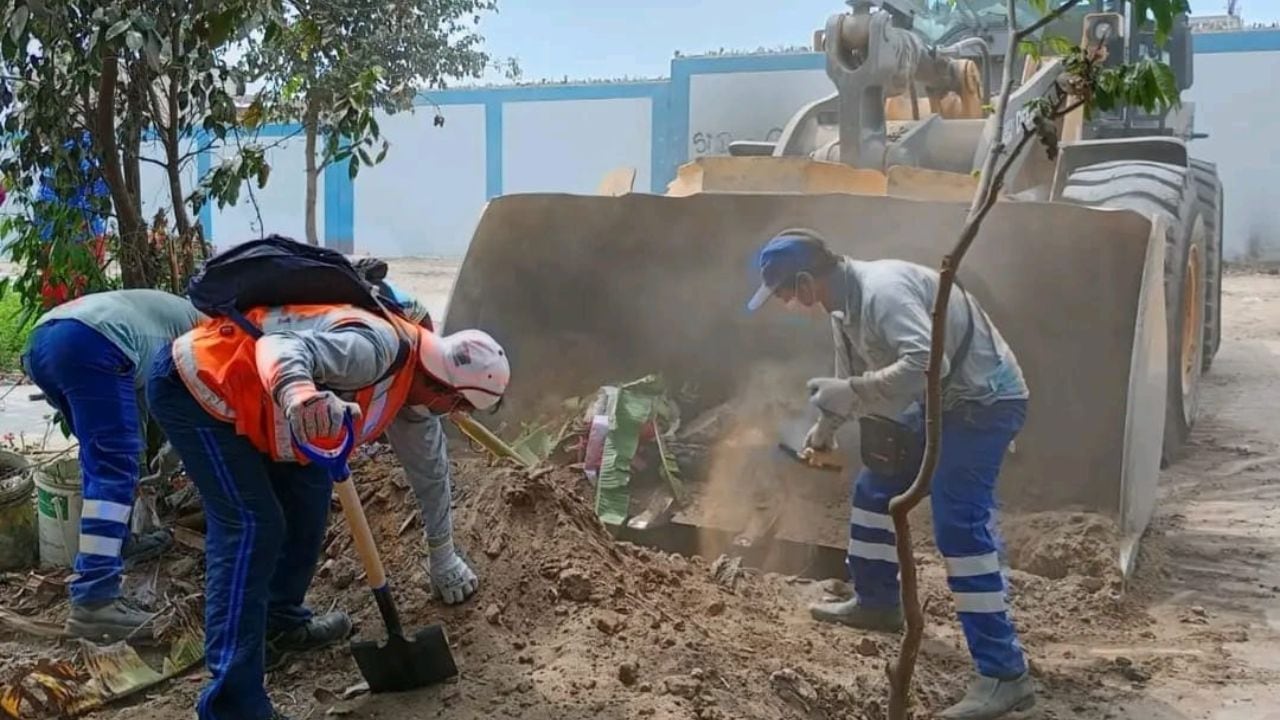 La campaña se realizó en los barrios 3 y 3 B del distrito de Alto Trujillo.