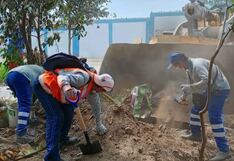 La Libertad: Más de 90 toneladas de residuos sólidos se recolectó en campaña de limpieza en Alto Trujillo