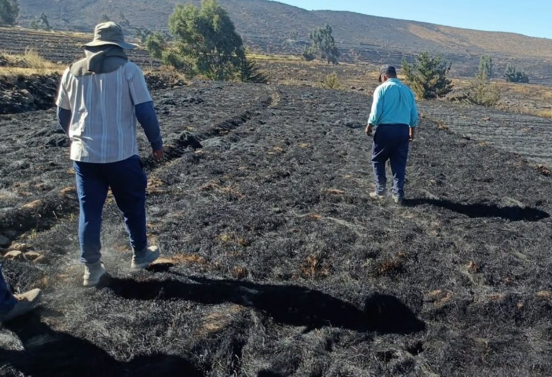 Apagan el incendio forestal en Mosopuquio: falta de agua dificultó el control (Foto: Municipalidad de Characato)