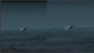 Ballenas son captadas en la playa La Encantada de Villa en Chorrillos (VIDEO)