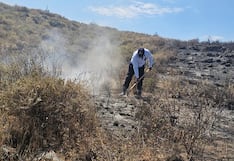 Incendio forestal afecta dos hectáreas de pastizales en Chiguata, Arequipa