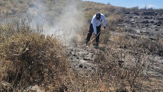Incendio forestal afecta dos hectáreas de pastizales en Chiguata, Arequipa