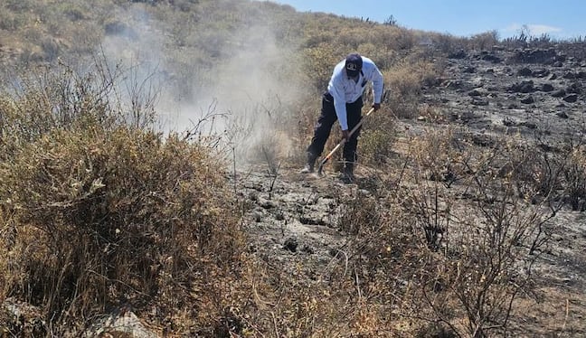 Incendio forestal afecta dos hectáreas de pastizales en Chiguata, Arequipa