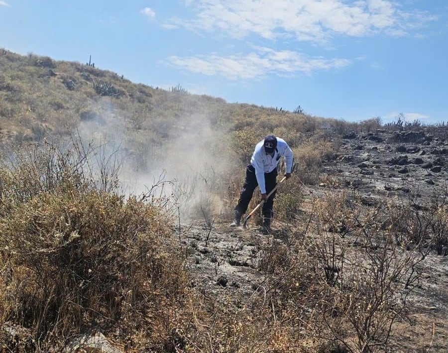 Incendio forestal afecta dos hectáreas de pastizales en Chiguata, Arequipa