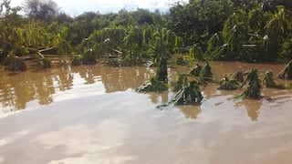 Piura: Pobladores de Tambogrande exigen defensas ribereñas ante amenaza de El Niño costero