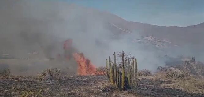 Siniestro fue reportado la mañana de este jueves 14 de setiembre (Foto: Difusión)