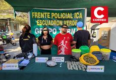 Ica: desbaratan a “Los Terribles de San Idelfonso”: incautan droga, municiones y mototaxi en La Tinguiña