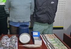 Pisco: policía desarticula a la banda delincuencial “Los torcidos de la Bolivia”