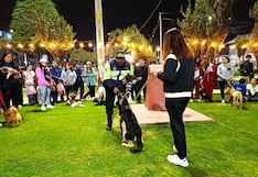 Patitas obedientes: perros de Huancayo aprenden buenos modales en el Allqu Park