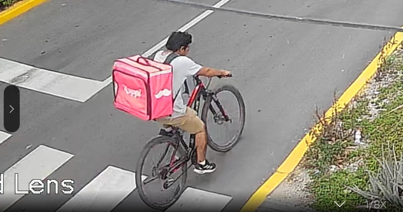 Las cámaras de seguridad captaron el accionar delictivo en la urbanización San Nicolás.