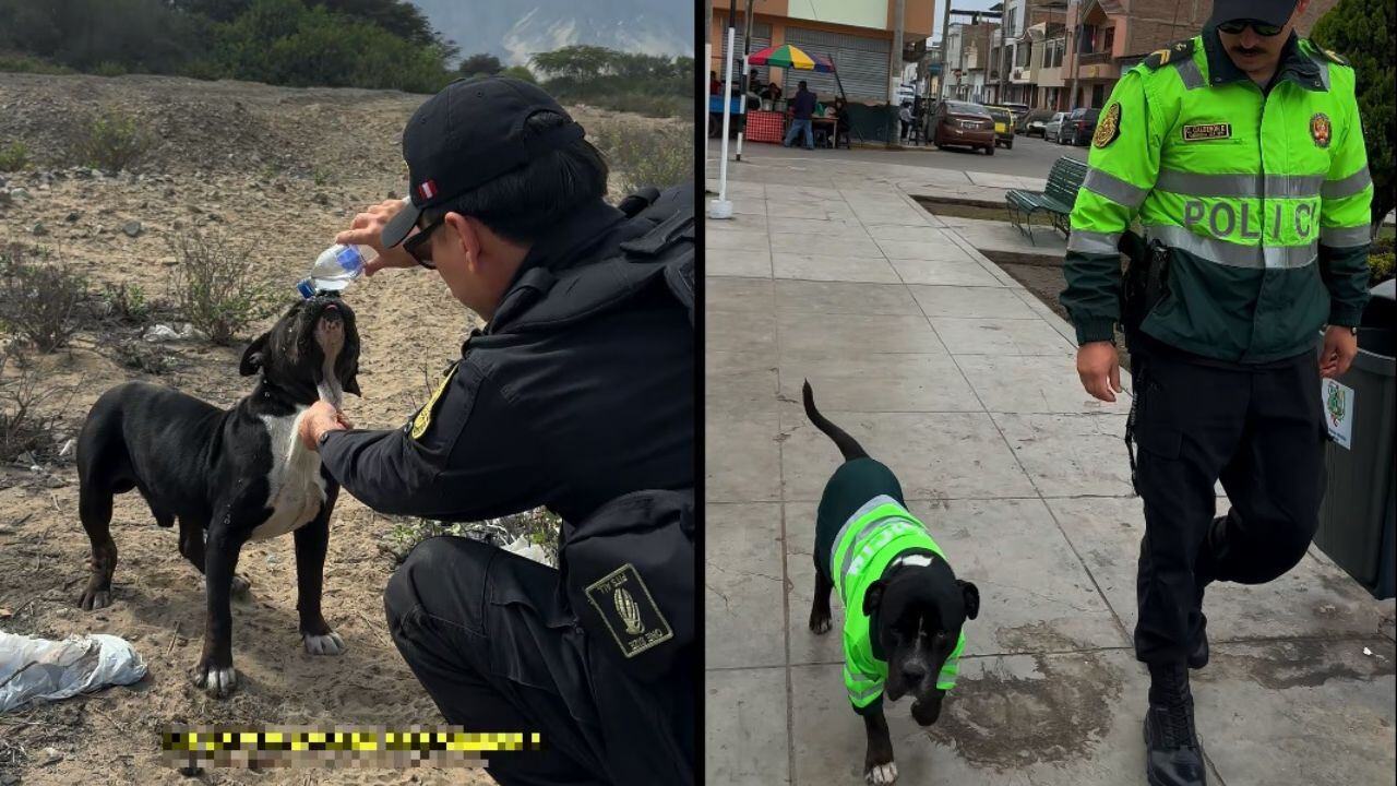 La mascota forma parte de la familia policial de la dependencia de Laredo.