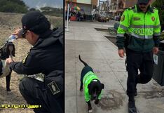 Trujillo: Policía rescata a perro abandonado y le da hogar en comisaría (VIDEO)