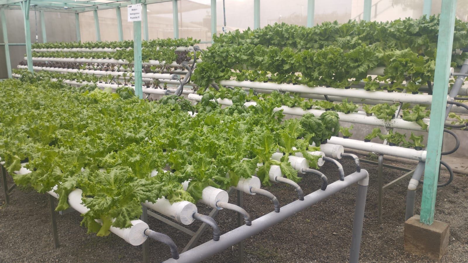 La región Puno es una de las beneficiadas con esta tecnología. Foto/Difusión.