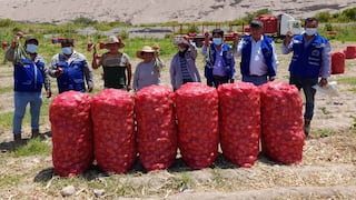 Tacna: Exportan 32 toneladas de cebolla rosada a Ecuador