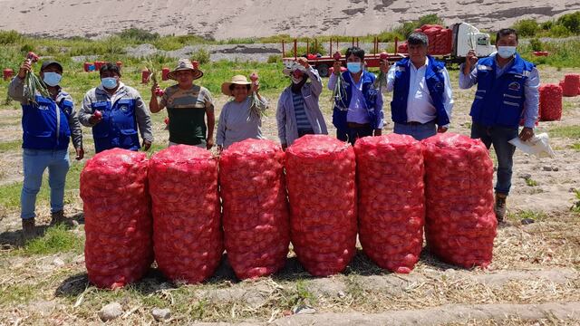 Tacna: Exportan 32 toneladas de cebolla rosada a Ecuador