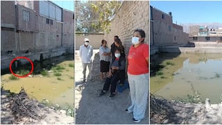 Nasca: familias denuncian acumulación de aguas residuales que generan olores fétidos
