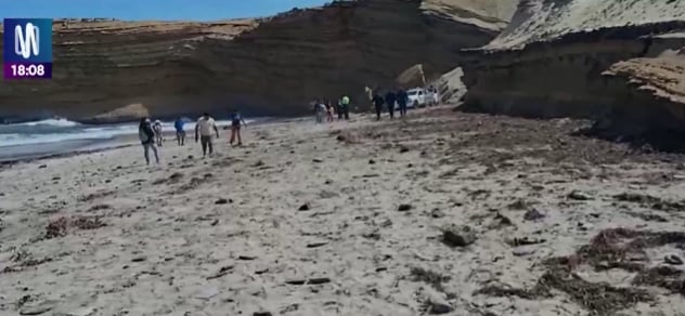 Ambos tripulantes fueron encontrados en el litoral de la Reserva Nacional de Paracas, a unos 500 metros de distancia el uno del otro, días después del naufragio de la embarcación artesanal Carlitos frente a las costas de Pisco