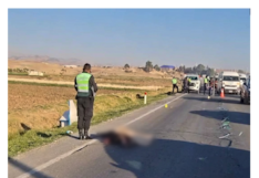 Sicaya: hallan muerto a varón tras presunto atropello en carretera Margen Derecha