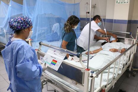 Junín: Casos de dengue aumentan en 22% y “El Niño” empeoraría el panorama en la región