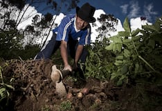 Productores listos para sembrar tras una semana de lluvias