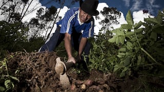 Productores listos para sembrar tras una semana de lluvias