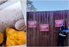 Nasca: clausuran camal clandestino e incautan carne de procedencia no autorizada