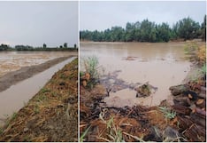 Desborde del río Ica deja casi 90 hectáreas de cultivos bajo el lodo en Ocucaje