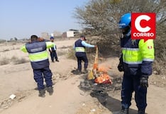 Ica: erradican puntos de consumo de drogas en zonas agrícolas de Parcona