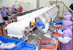 Piura exporta más de 9 mil toneladas de pescado y pota a Europa y Japón