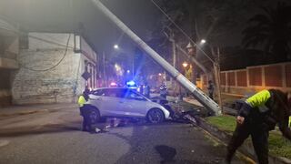 Tacna: Auto derriba árbol y poste con perjuicio a usuarios de empresa eléctrica