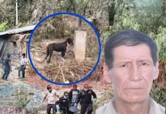 Huánuco: Anciano fallece en abandono y su perro se alimenta de su cuerpo para sobrevivir