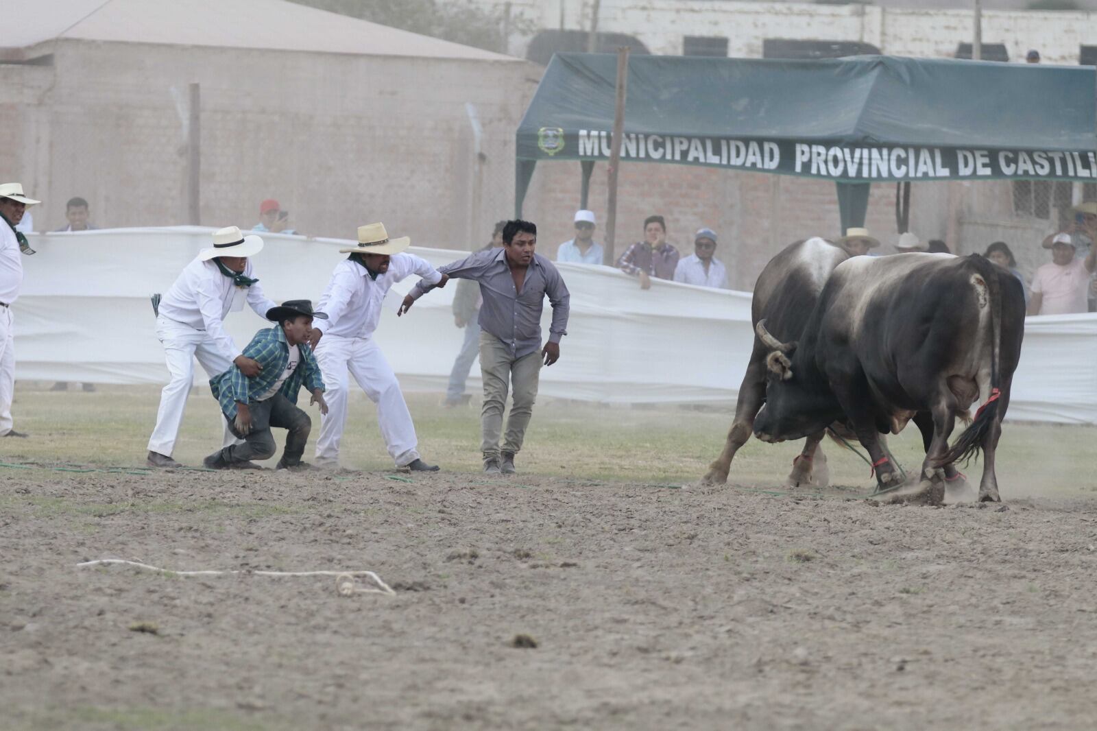 Emoción en la pelea de toros en Aplao. (Foto: Difusión)