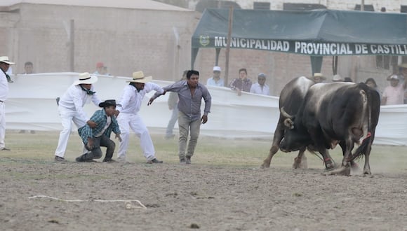 Emoción en la pelea de toros en Aplao. (Foto: Difusión)