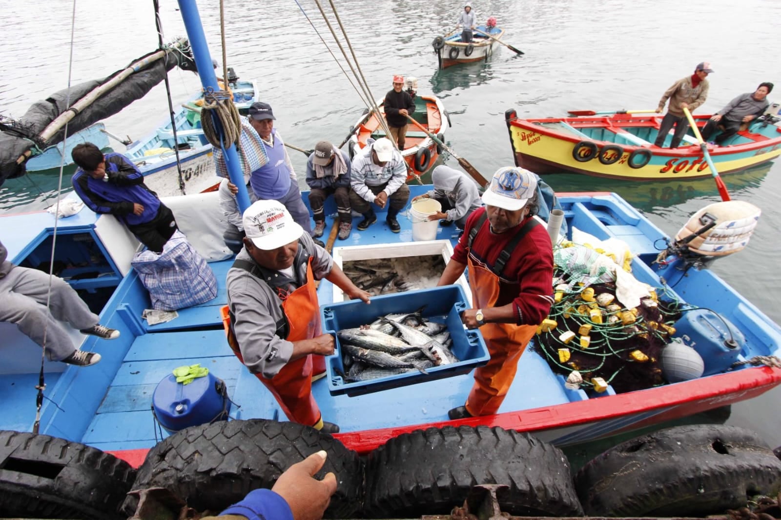 Pesca del bonito se estableció a 118 200 toneladas debido a las condiciones oceanográficas asociadas al fenómeno El Niño. Foto: PRODUCE.